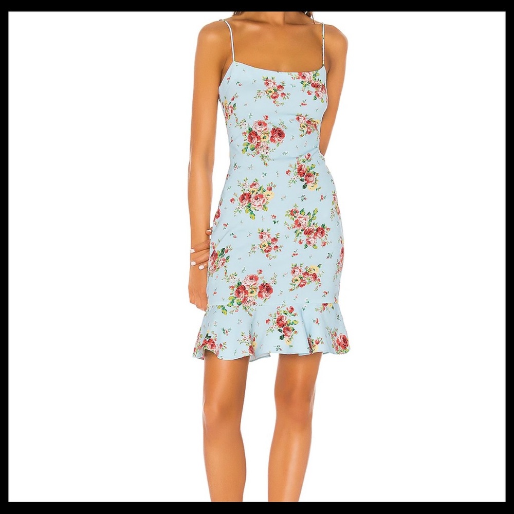 NEW Likely Floral Dress